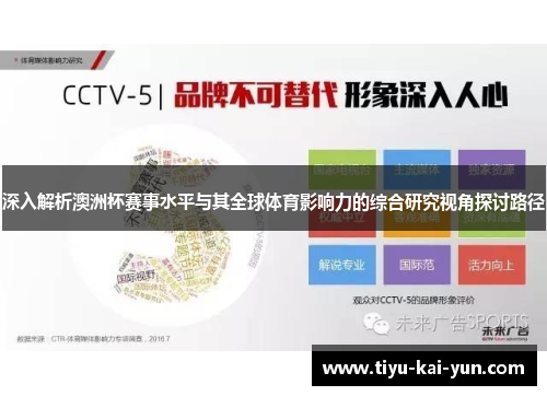 深入解析澳洲杯赛事水平与其全球体育影响力的综合研究视角探讨路径