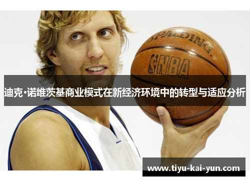 迪克·诺维茨基商业模式在新经济环境中的转型与适应分析
