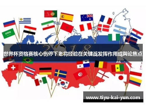 世界杯资格赛核心伤停下老将经验在关键战发挥作用成舆论焦点